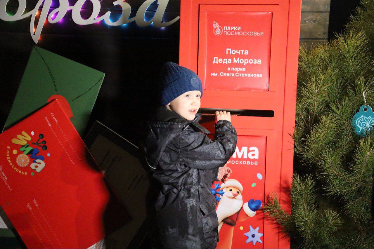 Тысячи огней вспыхнули на главных ёлках нашего города Тысячи огней вспыхнули на главных ёлках нашего города