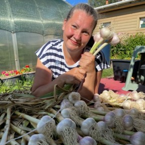 Как сохранить чеснок зимой: секреты и советы для садоводов