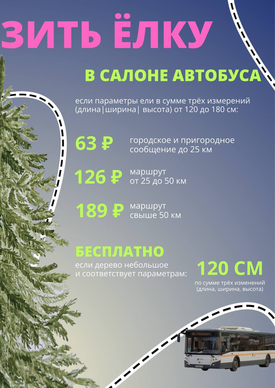 В Подмосковье стартовал сезон ёлочных базаров В Подмосковье стартовал сезон ёлочных базаров