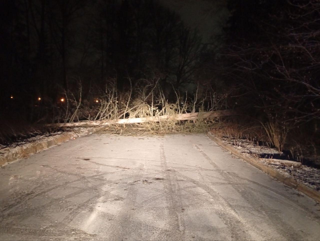 Спасатели «Мособлпожспас» оперативно ликвидировали последствия падения деревьев в Солнечногорске Спасатели «Мособлпожспас» оперативно ликвидировали последствия падения деревьев в Солнечногорске