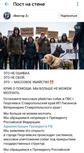 Мой любимый жанр – комменты тревожных зооактивистов