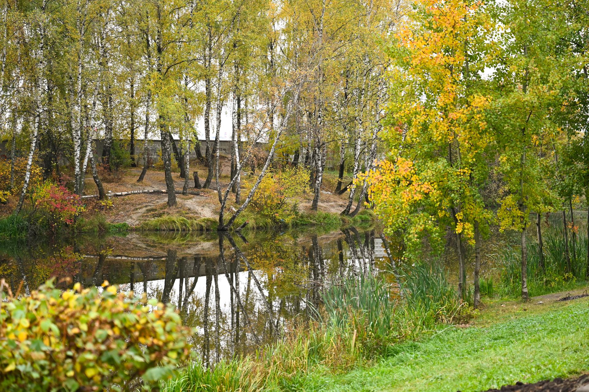 Подведены итоги народного голосования на платформе «Добродел» в рамках губернаторской программы Московской области Андрея Воробьева «100 прудов и озер» Подведены итоги народного голосования на платформе «Добродел» в рамках губернаторской программы Московской области Андрея Воробьева «100 прудов и озер»