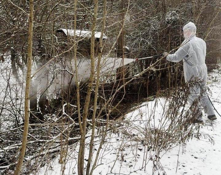 Загрязнённую после излива сточных вод территорию в Пушкино обработали гипохлоритом Загрязнённую после излива сточных вод территорию в Пушкино обработали гипохлоритом