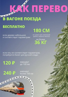 В Подмосковье стартовал сезон ёлочных базаров