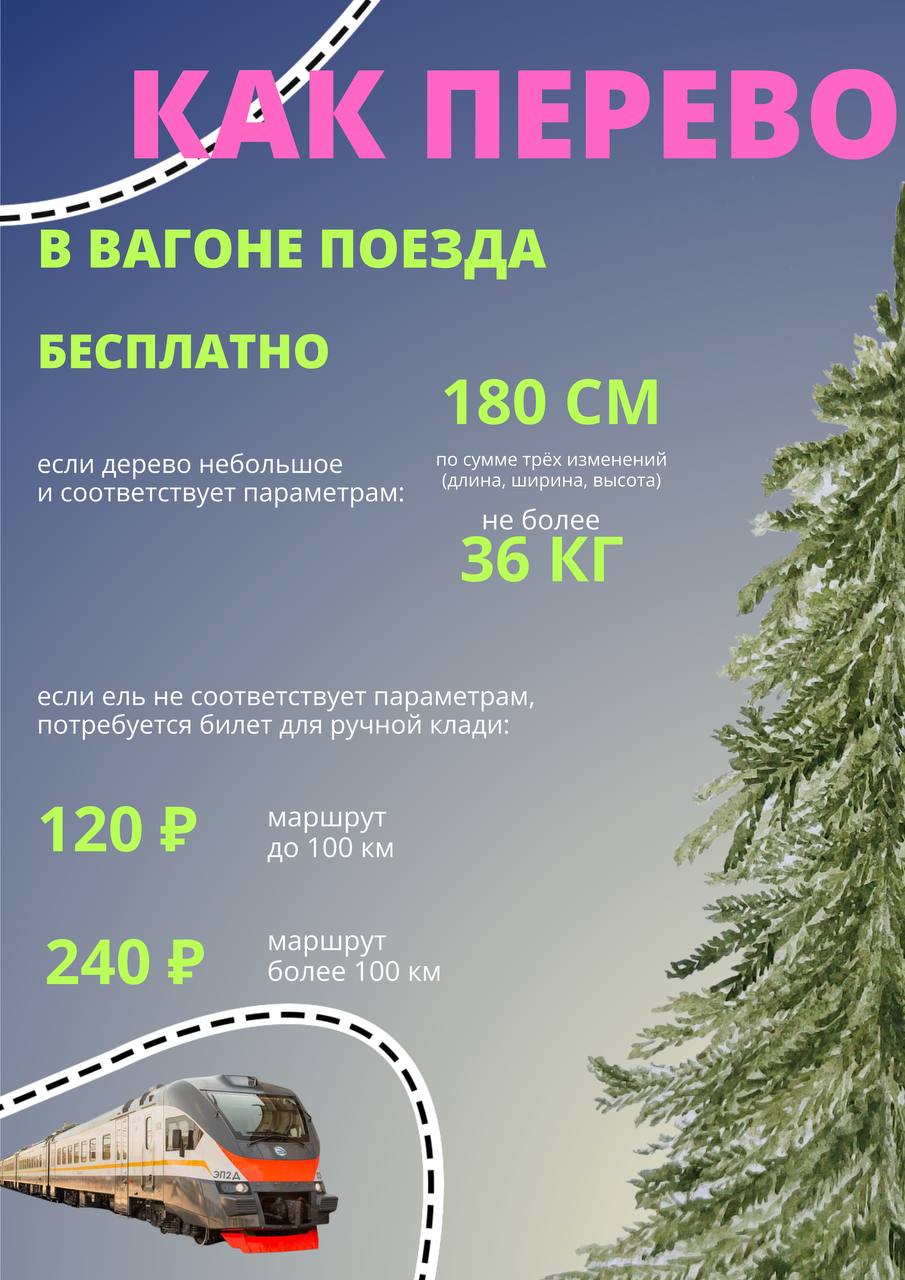 В Подмосковье стартовал сезон ёлочных базаров