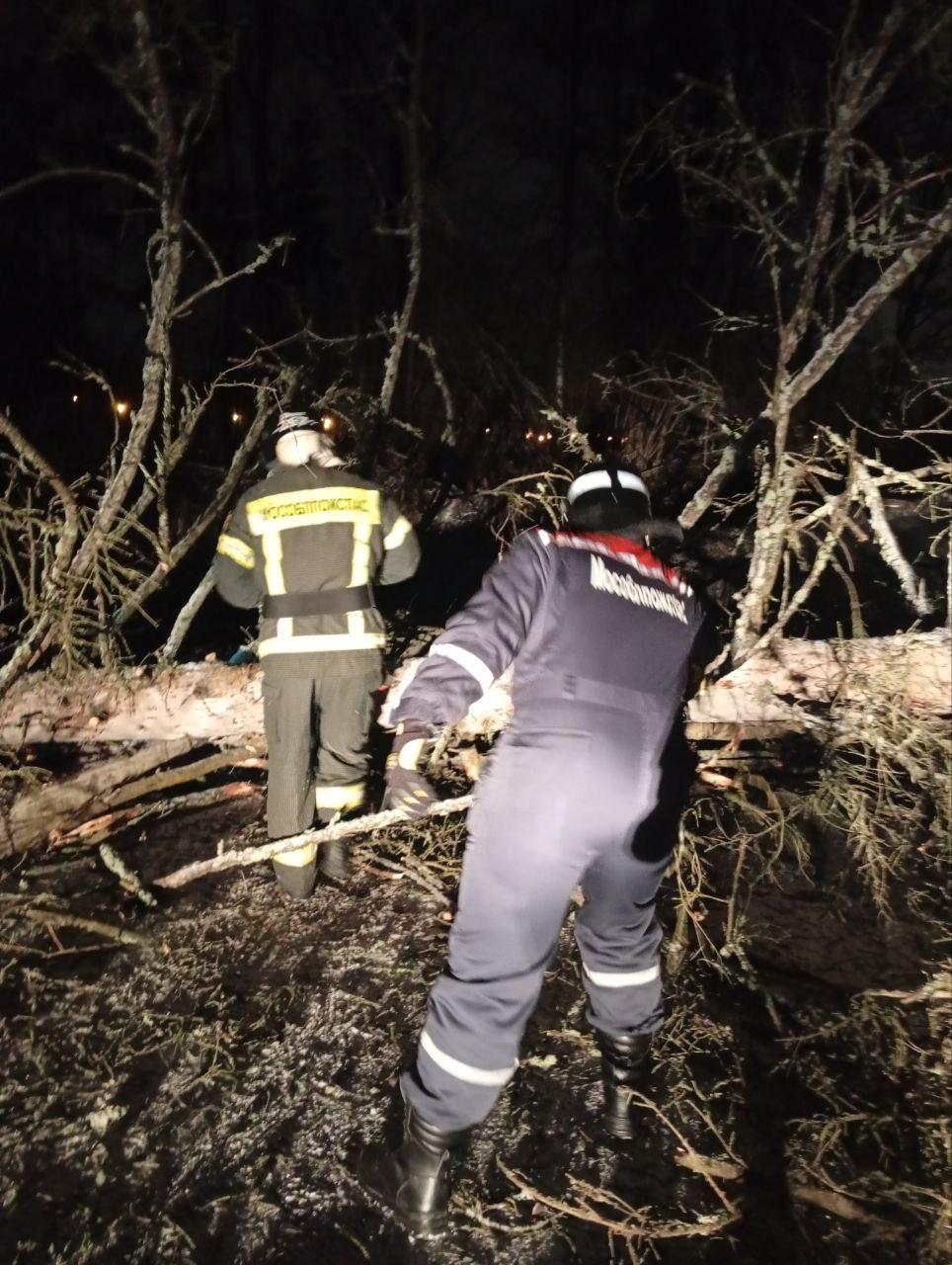 Спасатели «Мособлпожспас» оперативно ликвидировали последствия падения деревьев в Солнечногорске Спасатели «Мособлпожспас» оперативно ликвидировали последствия падения деревьев в Солнечногорске