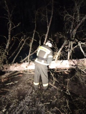 Спасатели «Мособлпожспас» оперативно ликвидировали последствия падения деревьев в Солнечногорске