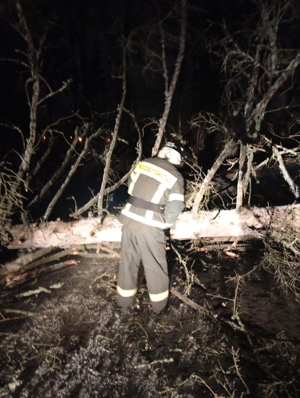 Спасатели «Мособлпожспас» оперативно ликвидировали последствия падения деревьев в Солнечногорске