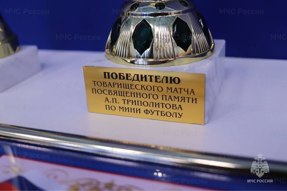 День памяти пожарного Александра Триполитова проведен в Можайске День памяти пожарного Александра Триполитова проведен в Можайске