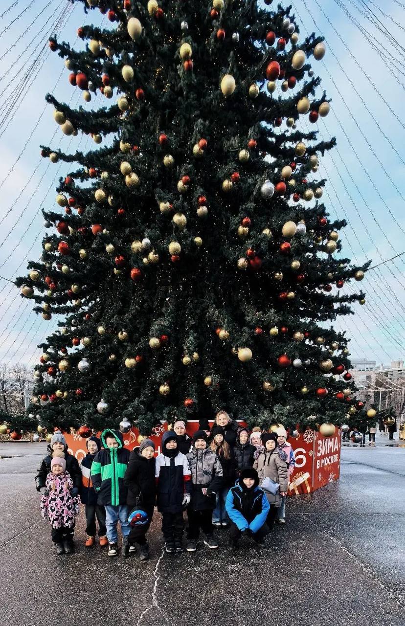 Невероятное цирковое представление!