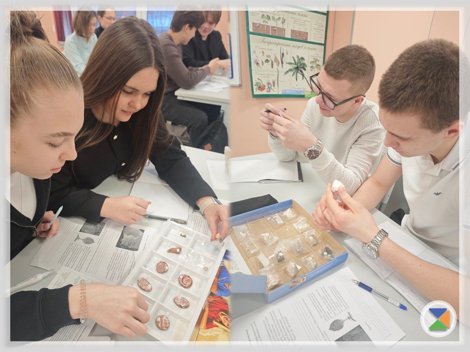 РАЗВИТИЕ ЖИЗНИ НА ЗЕМЛЕ. Развитие жизни на Земле - вопрос,требующий внимательного изучения ископаемых остатков древних организмов РАЗВИТИЕ ЖИЗНИ НА ЗЕМЛЕ. Развитие жизни на Земле - вопрос,требующий внимательного изучения ископаемых остатков древних организмов