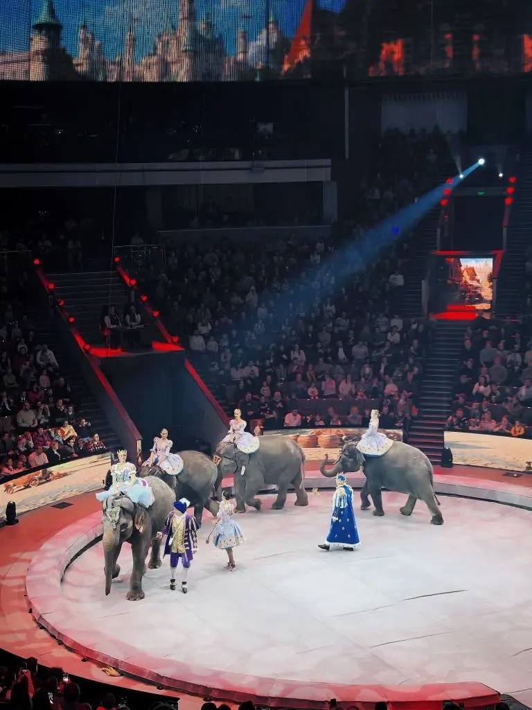 Невероятное цирковое представление! Невероятное цирковое представление!