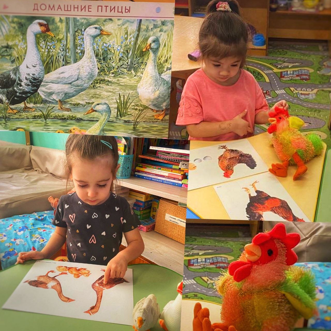 В рамках реализации проекта "Предшкола: стандарт детского сада" в дошкольном отделении гимназии №2 м.о. Чехов (здание 3, п. Васькино) на тематической неделе В рамках реализации проекта "Предшкола: стандарт детского сада" в дошкольном отделении гимназии №2 м.о. Чехов (здание 3, п. Васькино) на тематической неделе