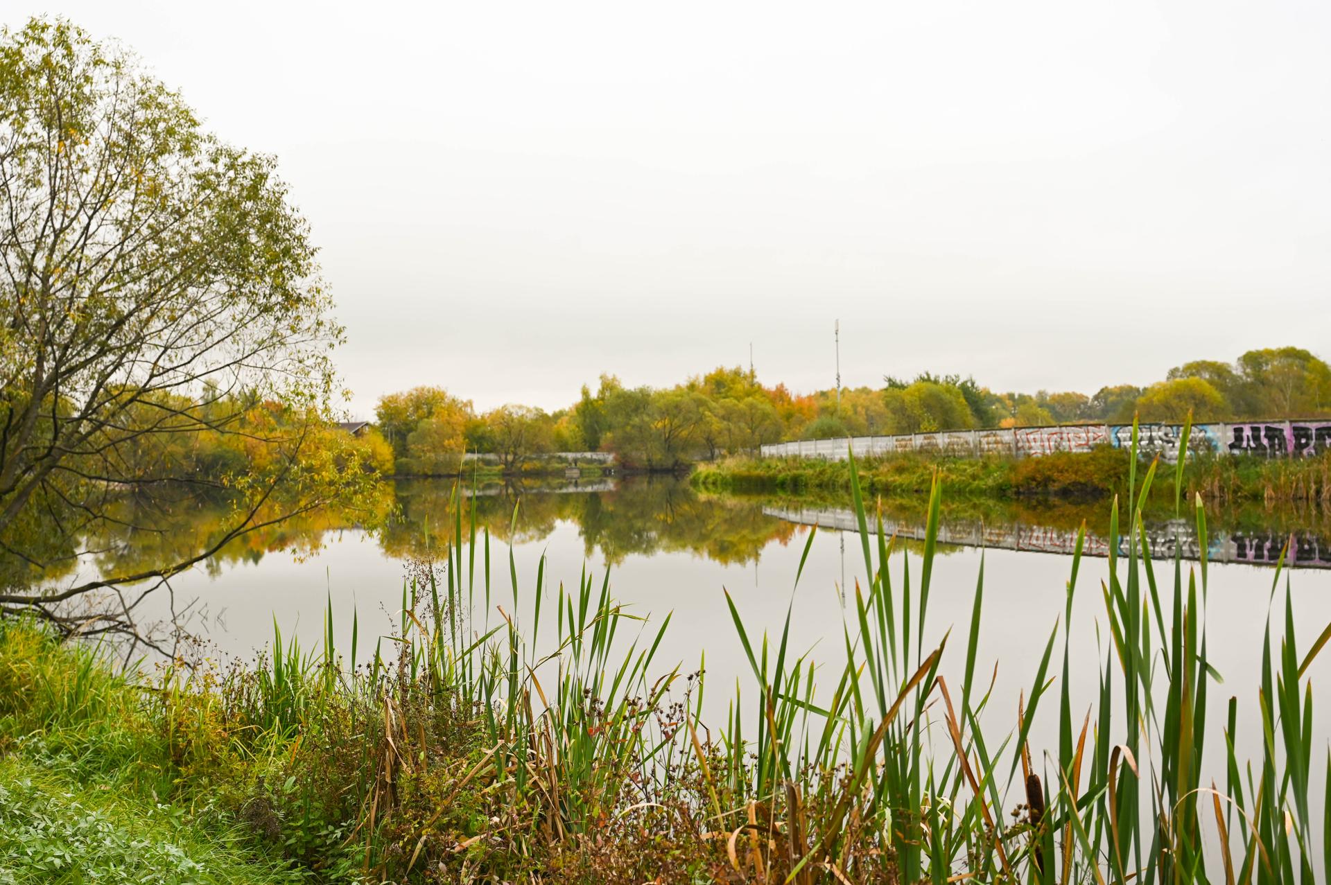 Подведены итоги народного голосования на платформе «Добродел» в рамках губернаторской программы Московской области Андрея Воробьева «100 прудов и озер»