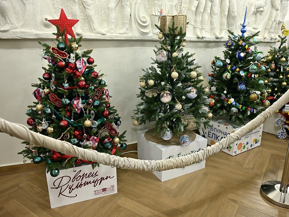 В Ступино выберут самую культурную елку: библиотеки, музеи, дворцы и парки соревнуются в дизайне В Ступино выберут самую культурную елку: библиотеки, музеи, дворцы и парки соревнуются в дизайне