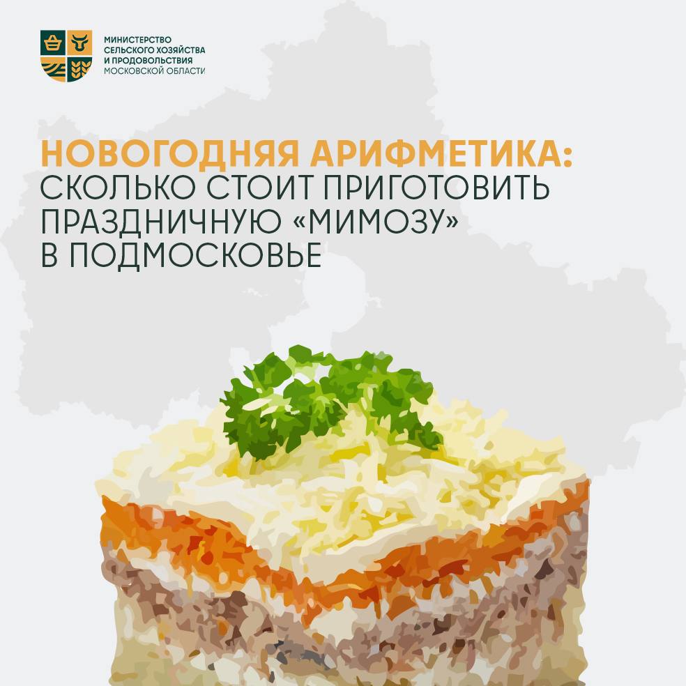 Новогодние салаты: сколько стоит приготовить оливье, селёдку под шубой и «Мимозу»