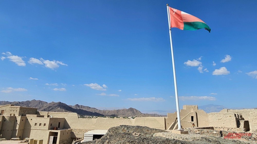 «Не пускайте их именно туда!» России дали совет, как убрать 50% мигрантов «Не пускайте их именно туда!» России дали совет, как убрать 50% мигрантов