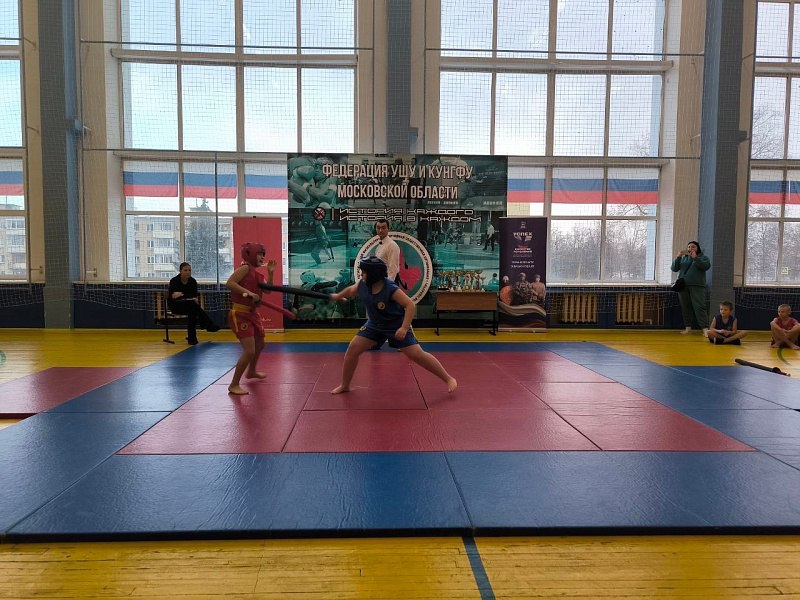 В Воскресенске провели традиционный турнир по ушу В Воскресенске провели традиционный турнир по ушу