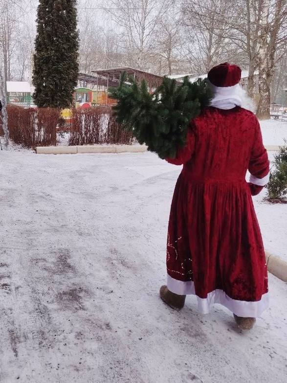 Сегодня в детский сад Дед Мороз принес елочку для дошколят Сегодня в детский сад Дед Мороз принес елочку для дошколят