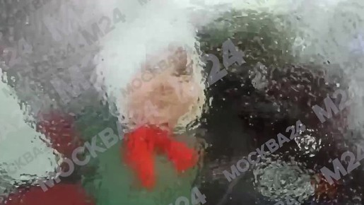 Ледяной дождь накрыл Москву и Подмосковье