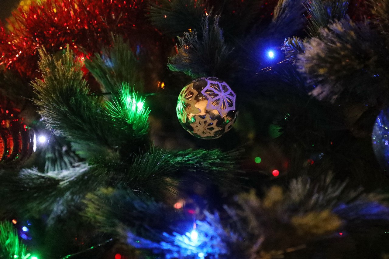 Поехали: в Долгопрудном стартовали новогодние праздники во дворах Поехали: в Долгопрудном стартовали новогодние праздники во дворах