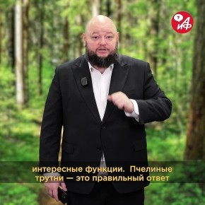 Привет! А вот и итоги предыдущего ответа, который предваряет, по традиции, новый вопрос