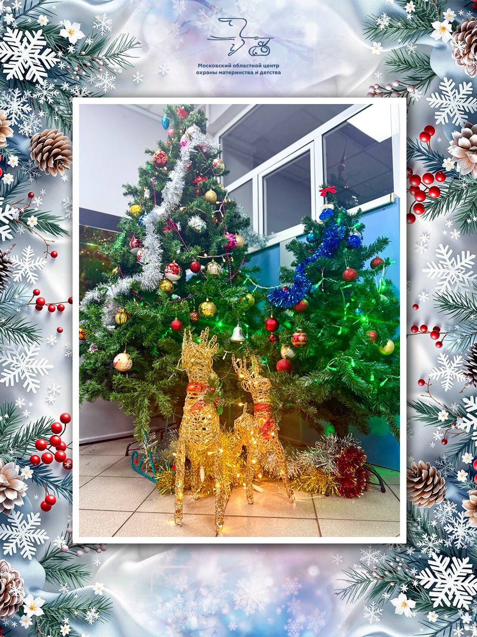 В МОЦОМД Люберец дан старт новогоднему преображению для маленьких пациентов В МОЦОМД Люберец дан старт новогоднему преображению для маленьких пациентов