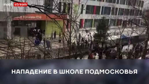 15-летний ученик Успенской школы в подмосковных Горках-2 Тимофей К. убил четвероклассника