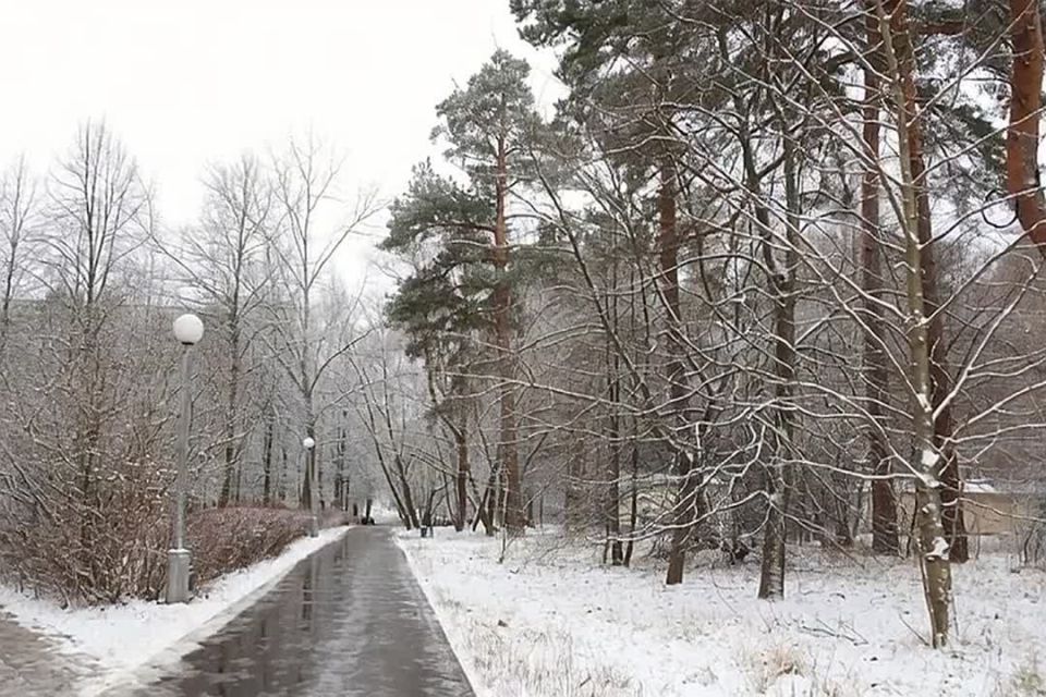 ������ ����, ��������!. ����� � ��������� �������