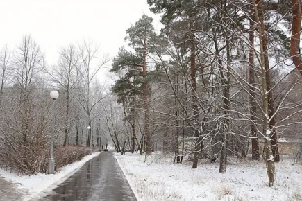 ������ ����, ��������!. ����� � ��������� �������