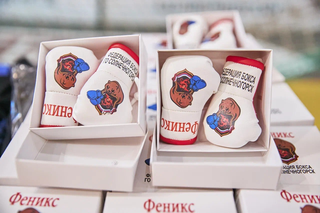 Ветеран СВО из Люберец вошел в пятерку сильнейших на фестивале адаптивного бокса Ветеран СВО из Люберец вошел в пятерку сильнейших на фестивале адаптивного бокса