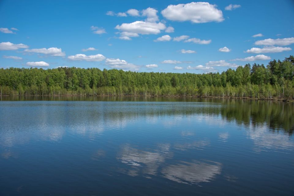 ������ ����������� ������� 39 ������� ��� ��������� � 2026 ����