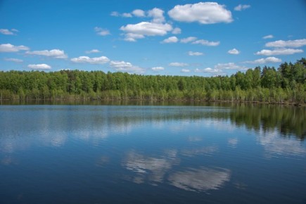 ������ ����������� ������� 39 ������� ��� ��������� � 2026 ����