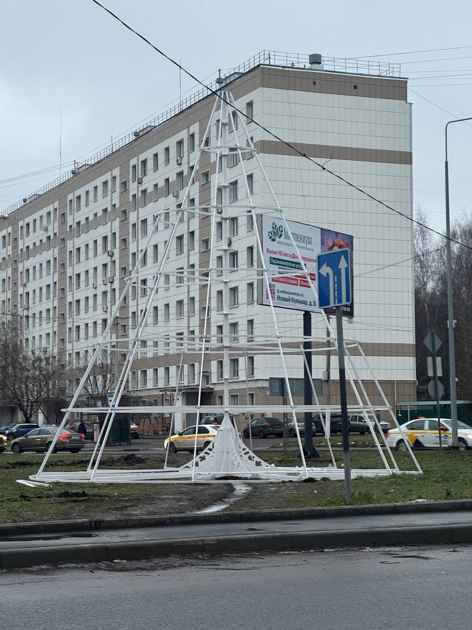 В Долгопрудном впервые появится светодиодная ёлка