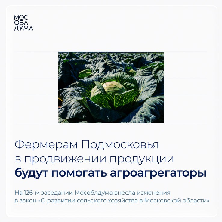 Фермерам Подмосковья в продвижении продукции будут помогать агроагрегаторы