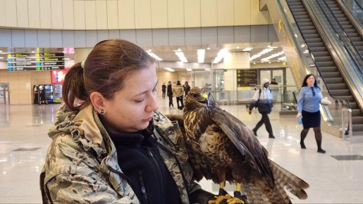 � ���������� ��������� ���������, ��� �������� ������� ���� ��� ����������� ������������