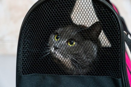 ����� 2 ��� ����� � ����� ������������� � ����������� � ������� ����