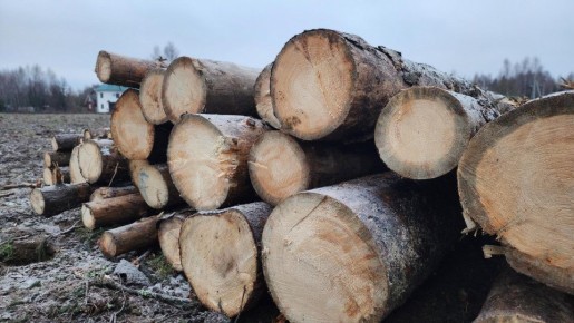 ����������� ����� ��� �����: � �������� ��������� ��� ������� �������� ���������