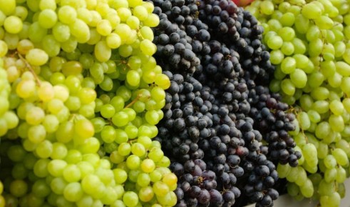 ������� ������� ����� � �������� �������������� �������������� � ��������� �������