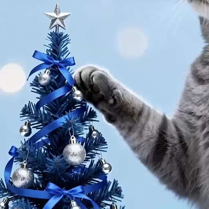 Доброе утро, Серпухов!. Сегодня 22 декабря — день наконец-то начинает прибывать! Погода обещает быть по-настоящему зимней: температура воздуха составит +1°C ,ожидается ливневый снег, поэтому будьте внимательны на дорогах...