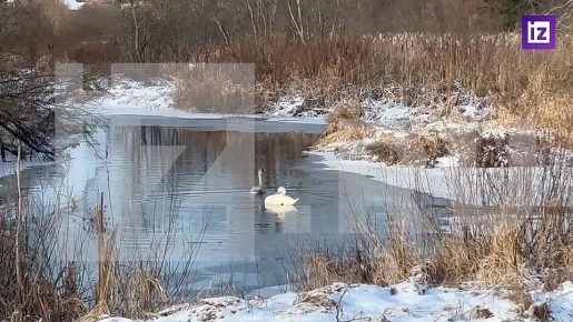 ��� ������ ������ � ������� ������� � ������������ ��������, ����� ����������