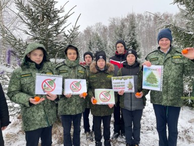 �������������� �����: �������� ��������� ���������� ������ �����