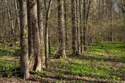 � 2025 ���� � ���������� ������� ������ ����������� ��������� �� ���������� ����� 154 ��������