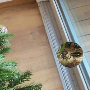 ��������, �������� ����� ����: ������� ����� ��������� � ���� �������