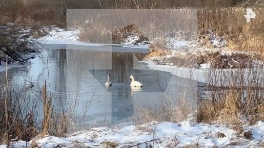 ������ ����� ��������� �� ������ � �����������