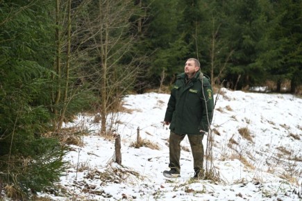 ������������ �������� �� ������ ������� ����������