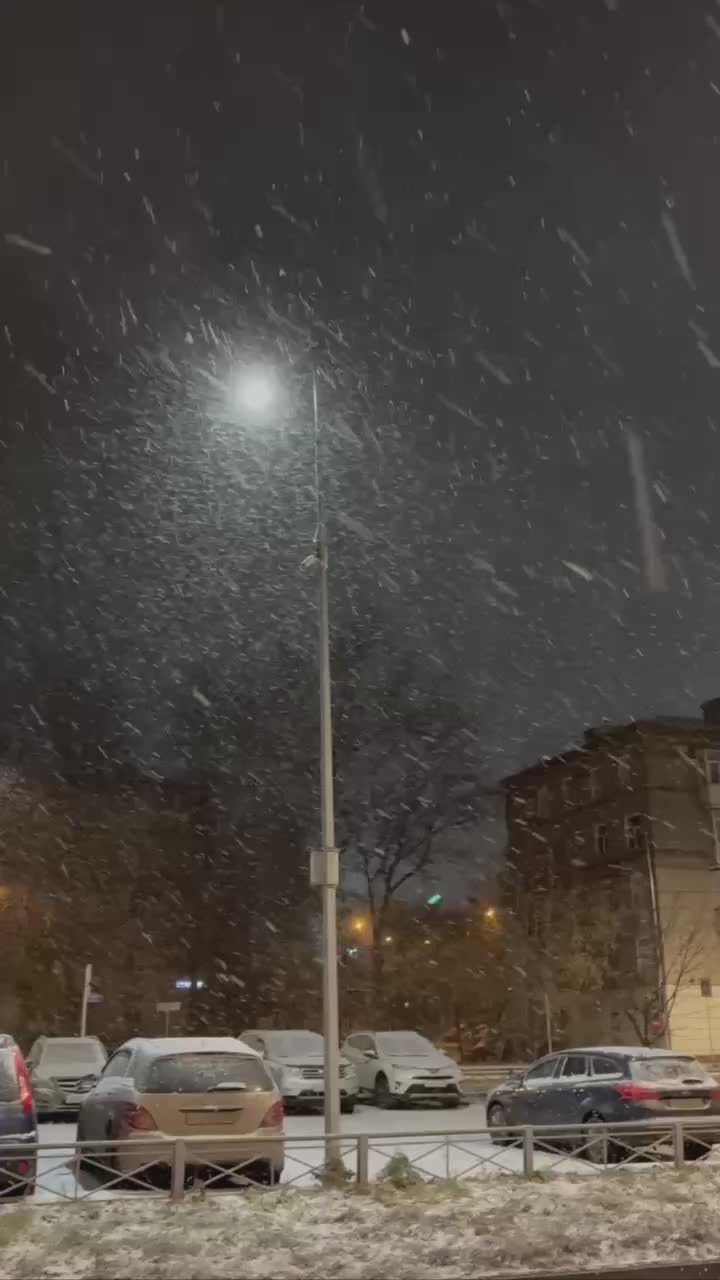 АТМОСФЕРА: морозы до -19 накроют Подмосковье — это будет самая холодная ночь с начала зимы, сообщила главный специалист столичного метеобюро Татьяна Позднякова