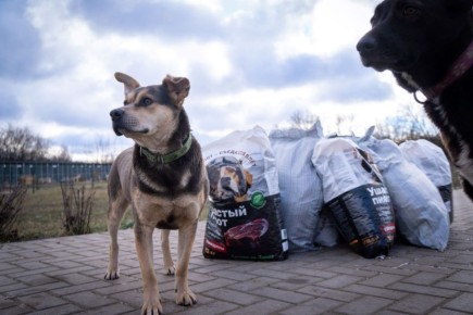 ����� ����� ������ ����� �������� ���������� ��������������� ������ � ������� �������