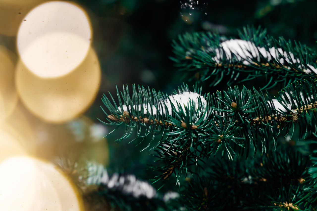 Сказочная атмосфера в г. Куровское Сказочная атмосфера в г. Куровское