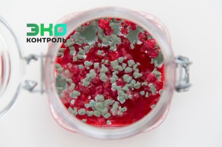 ��� ������ � ��������, �������� ��������: ���� � ����������